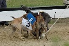  - Championnat de France de  Pari Mutuel